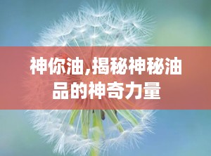 神你油,揭秘神秘油品的神奇力量