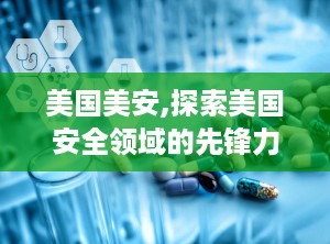 美国美安,探索美国安全领域的先锋力量