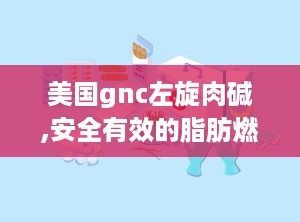 美国gnc左旋肉碱,安全有效的脂肪燃烧助手，助力健康减肥之旅”