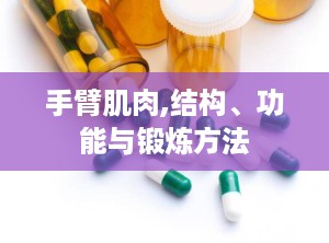 手臂肌肉,结构、功能与锻炼方法
