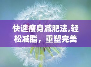 快速瘦身减肥法,轻松减脂，重塑完美身材”