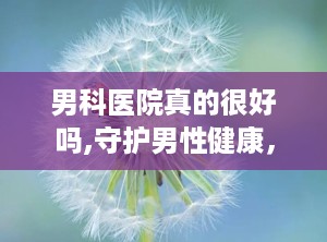 男科医院真的很好吗,守护男性健康，品质医疗新标杆”