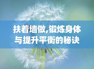 扶着墙做,锻炼身体与提升平衡的秘诀”
