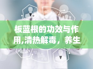 板蓝根的功效与作用,清热解毒，养生保健的天然良药