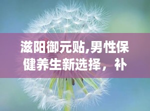 滋阳御元贴,男性保健养生新选择，补肾壮阳，改善性功能