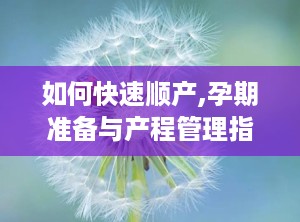 如何快速顺产,孕期准备与产程管理指南n2. 无痛顺产秘诀：轻松应对分娩挑战n3. 顺产经验分享：轻松分娩的实用策略n4. 顺产必备：高效缩短产程的实用技巧n5. 顺产无忧：孕期锻炼与心理调适的重要性