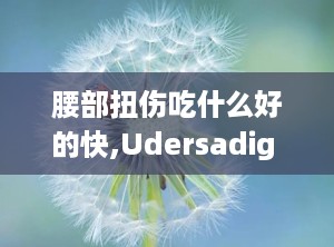 腰部扭伤吃什么好的快,Udersadig Lower Back Sprai