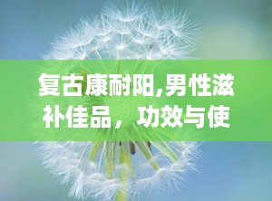 复古康耐阳,男性滋补佳品，功效与使用指南