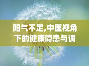 阳气不足,中医视角下的健康隐患与调养之道”