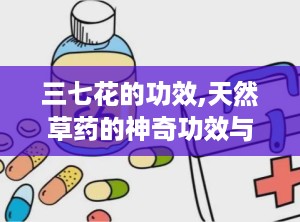 三七花的功效,天然草药的神奇功效与日常应用指南”