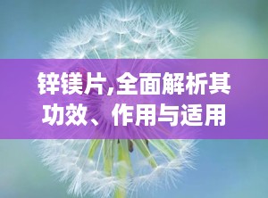 锌镁片,全面解析其功效、作用与适用人群