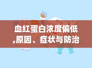 血红蛋白浓度偏低,原因、症状与防治策略