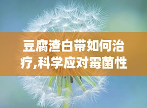 豆腐渣白带如何治疗,科学应对霉菌性阴道炎