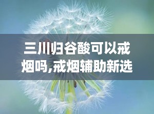 三川归谷酸可以戒烟吗,戒烟辅助新选择，效果因人而异