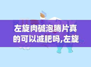 左旋肉碱泡腾片真的可以减肥吗,左旋肉碱泡腾片减肥效果解析与使用指南