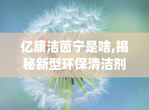 亿康洁茵宁是啥,揭秘新型环保清洁剂的神奇功效