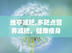 维亭减肥,多靶点营养减肥，健康瘦身新选择