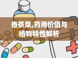 香茶菜,药用价值与植物特性解析