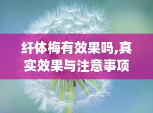 纤体梅有效果吗,真实效果与注意事项