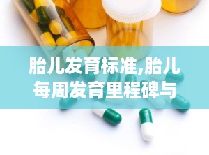胎儿发育标准,胎儿每周发育里程碑与标准对照