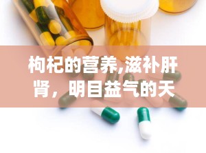 枸杞的营养,滋补肝肾，明目益气的天然保健品