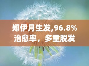 郑伊月生发,96.8%治愈率，多重脱发问题克星”