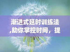 渐进式延时训练法,助你掌控时间，提升效率的秘诀