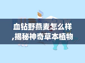 血钻野燕麦怎么样,揭秘神奇草本植物的神奇功效