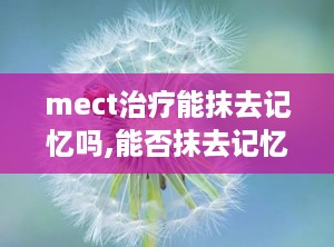 mect治疗能抹去记忆吗,能否抹去记忆之谜