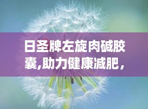 日圣牌左旋肉碱胶囊,助力健康减肥，提升运动表现