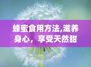 蜂蜜食用方法,滋养身心，享受天然甜蜜