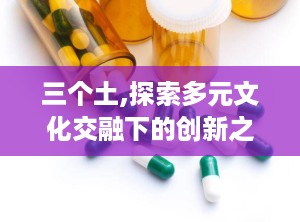三个土,探索多元文化交融下的创新之路