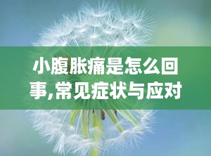 小腹胀痛是怎么回事,常见症状与应对策略”