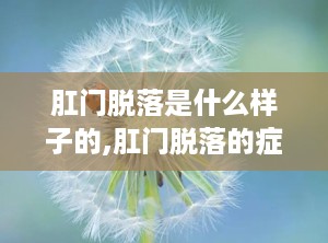 肛门脱落是什么样子的,肛门脱落的症状与表现