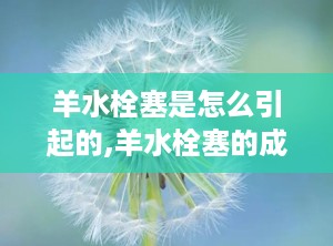 羊水栓塞是怎么引起的,羊水栓塞的成因与发病机制解析