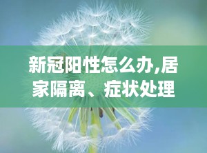 新冠阳性怎么办,居家隔离、症状处理及康复指导
