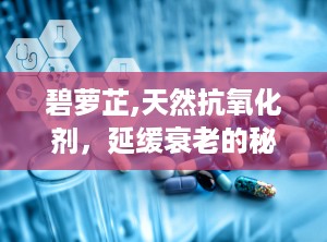碧萝芷,天然抗氧化剂，延缓衰老的秘密武器