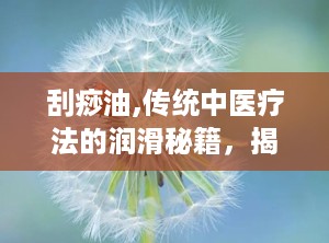 刮痧油,传统中医疗法的润滑秘籍，揭秘其功效与使用方法”