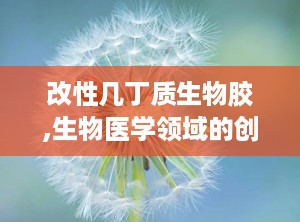 改性几丁质生物胶,生物医学领域的创新材料与应用