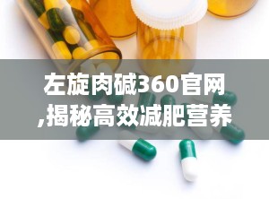 左旋肉碱360官网,揭秘高效减肥营养补充品的神奇功效与使用指南”