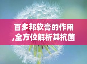 百多邦软膏的作用,全方位解析其抗菌消炎与皮肤修复功效