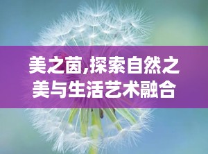 美之茵,探索自然之美与生活艺术融合的实践与思考”