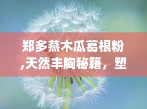 郑多燕木瓜葛根粉,天然丰胸秘籍，塑造完美曲线