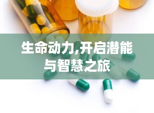 生命动力,开启潜能与智慧之旅
