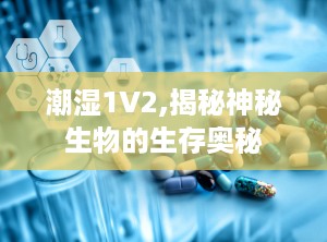 潮湿1V2,揭秘神秘生物的生存奥秘