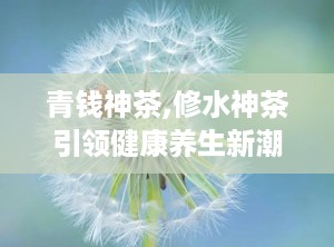 青钱神茶,修水神茶引领健康养生新潮流”
