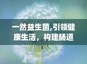一然益生菌,引领健康生活，构建肠道微生态平衡新篇章”