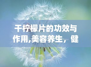 干柠檬片的功效与作用,美容养生，健康生活必备良品