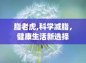 脂老虎,科学减脂，健康生活新选择