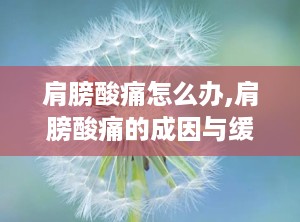 肩膀酸痛怎么办,肩膀酸痛的成因与缓解策略”
